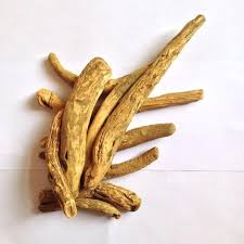 عشبة الراوند