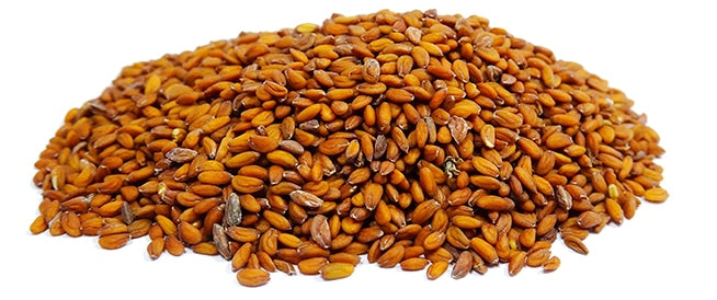 حب الرشاد