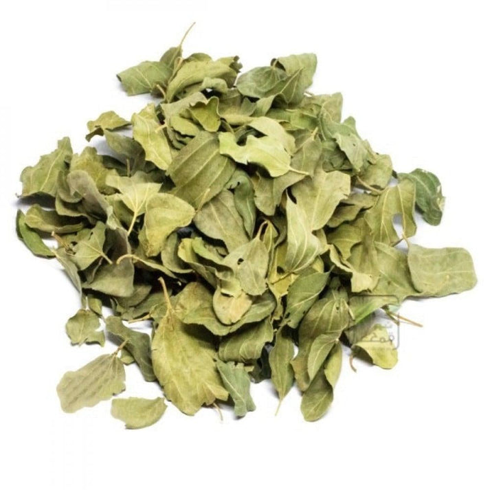 ورق سدر – مؤسسة فلفل اسود BPF