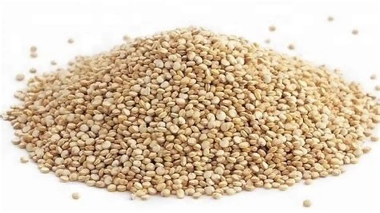 بذور الكينوا