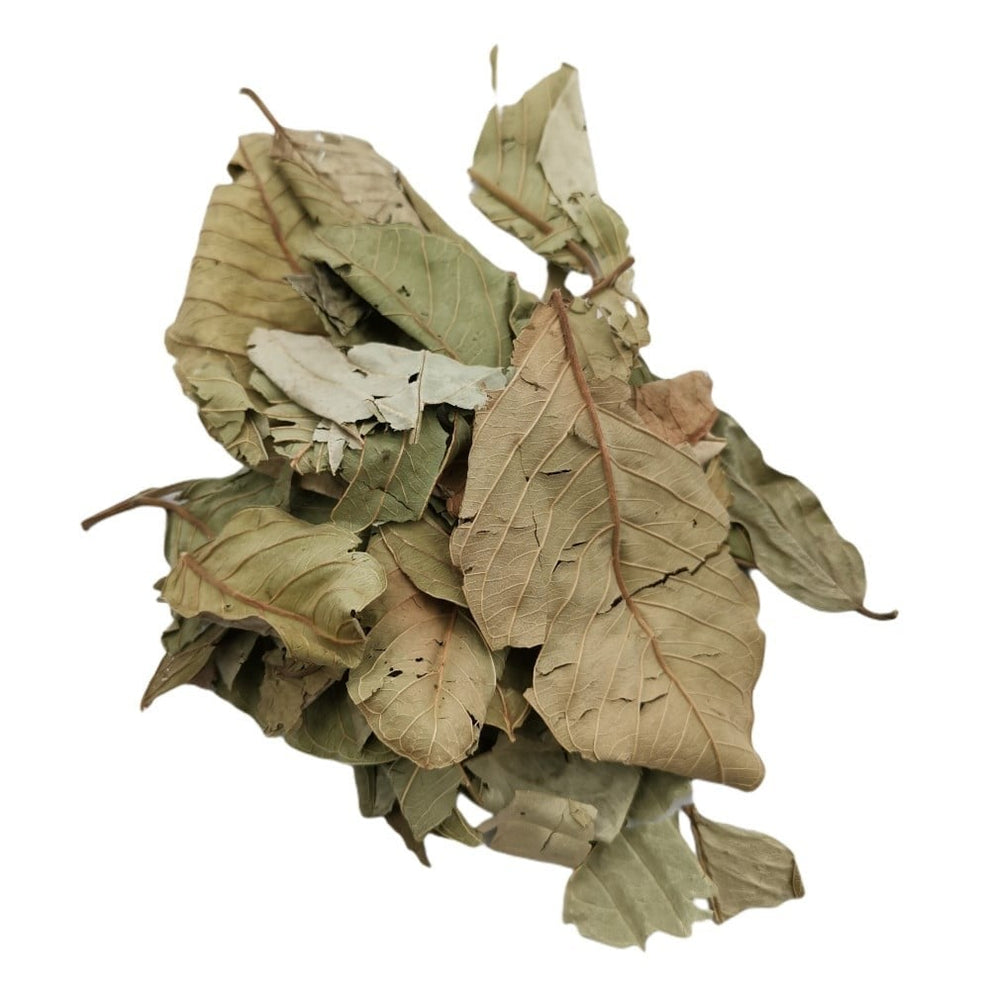 ورق الجوافه – مؤسسة فلفل اسود BPF