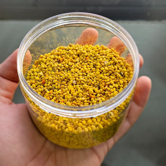 حبوب اللقاح