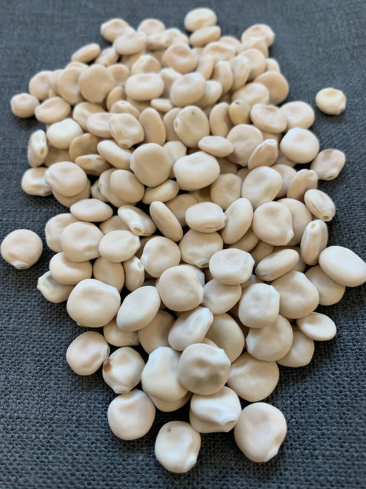 ترمس سريع