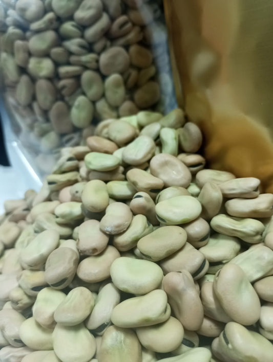 فول بلدى ابيض جديد