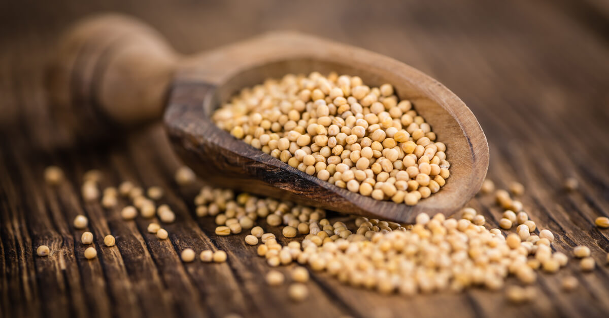 خردل – مؤسسة فلفل اسود BPF